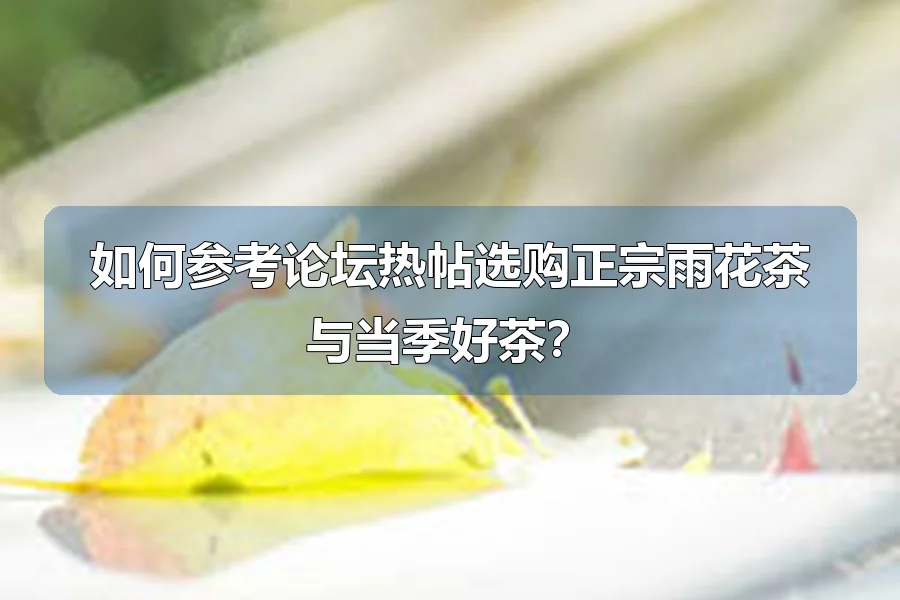 如何参考论坛热帖选购正宗雨花茶与当季好茶?