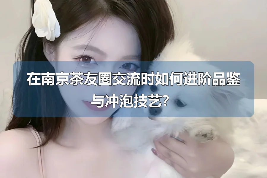 在南京茶友圈交流时如何进阶品鉴与冲泡技艺?